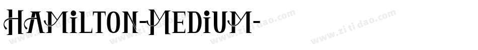 Hamilton-Medium字体转换