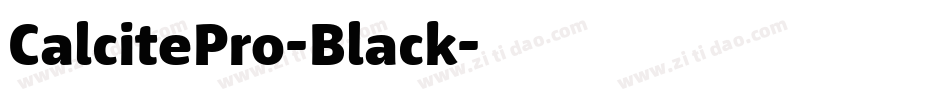 CalcitePro-Black字体转换