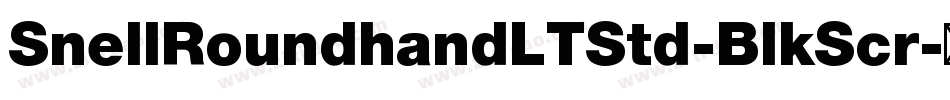 SnellRoundhandLTStd-BlkScr字体转换