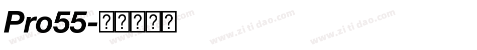 Pro55字体转换