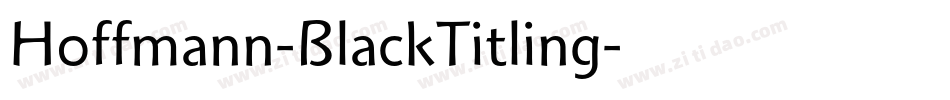 Hoffmann-BlackTitling字体转换