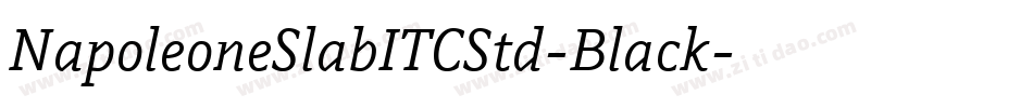 NapoleoneSlabITCStd-Black字体转换