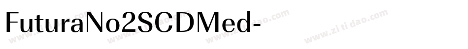 FuturaNo2SCDMed字体转换