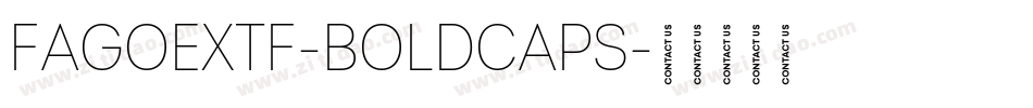 FagoExTf-BoldCaps字体转换