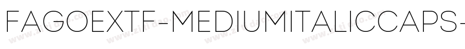 FagoExTf-MediumItalicCaps字体转换