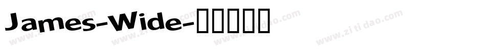 James-Wide字体转换