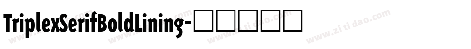 TriplexSerifBoldLining字体转换