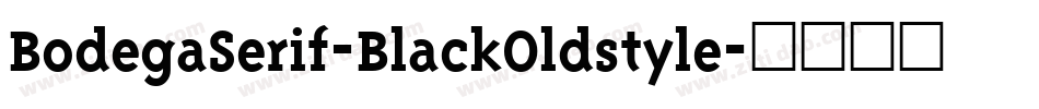BodegaSerif-BlackOldstyle字体转换