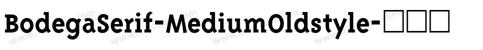 BodegaSerif-MediumOldstyle字体转换