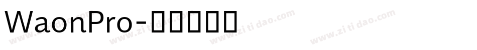 WaonPro字体转换
