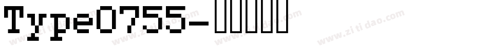 Type0755字体转换