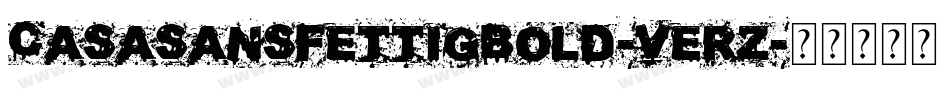 CasaSansFettigBold-VErz字体转换