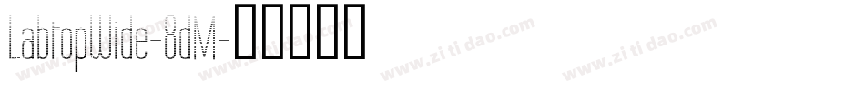 LabtopWide-8dM字体转换
