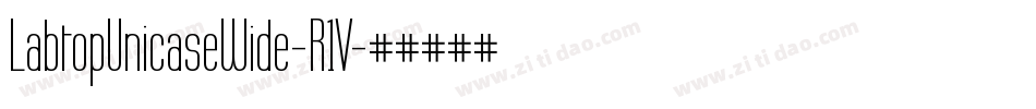 LabtopUnicaseWide-R1V字体转换