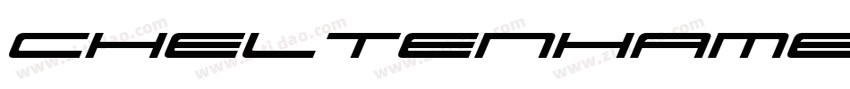 CheltenhamEF-UltraItalic字体转换