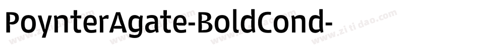 PoynterAgate-BoldCond字体转换