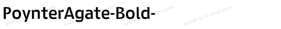 PoynterAgate-Bold字体转换