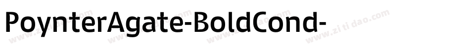 PoynterAgate-BoldCond字体转换