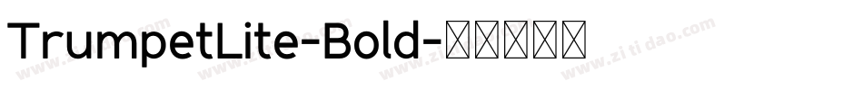 TrumpetLite-Bold字体转换