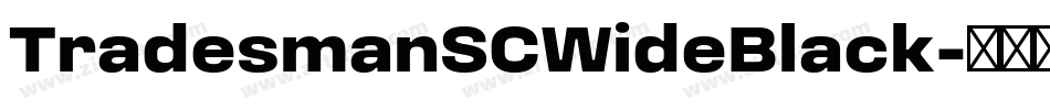 TradesmanSCWideBlack字体转换