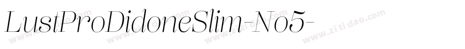 LustProDidoneSlim-No5字体转换