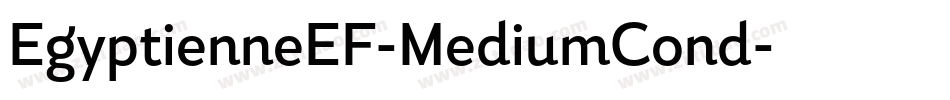 EgyptienneEF-MediumCond字体转换