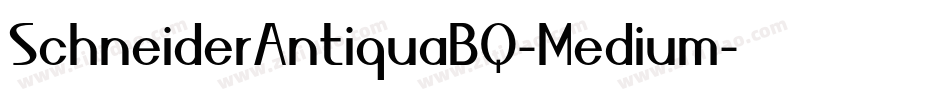 SchneiderAntiquaBQ-Medium字体转换