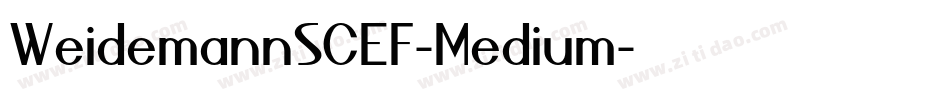 WeidemannSCEF-Medium字体转换