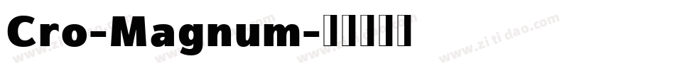 Cro-Magnum字体转换