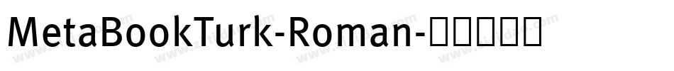 MetaBookTurk-Roman字体转换