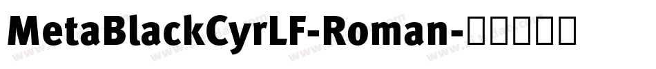 MetaBlackCyrLF-Roman字体转换