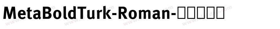MetaBoldTurk-Roman字体转换