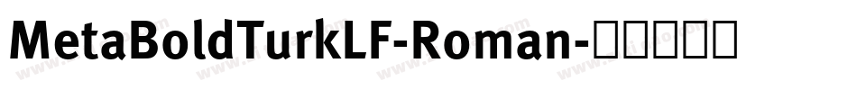 MetaBoldTurkLF-Roman字体转换