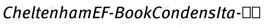 CheltenhamEF-BookCondensIta字体转换