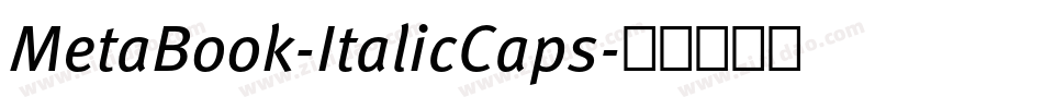 MetaBook-ItalicCaps字体转换