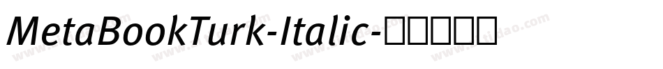 MetaBookTurk-Italic字体转换