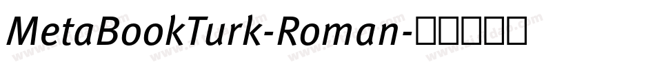 MetaBookTurk-Roman字体转换
