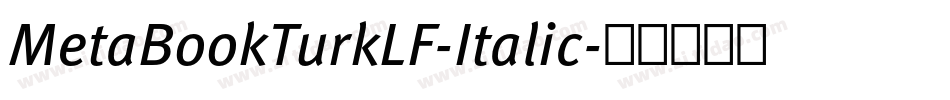 MetaBookTurkLF-Italic字体转换