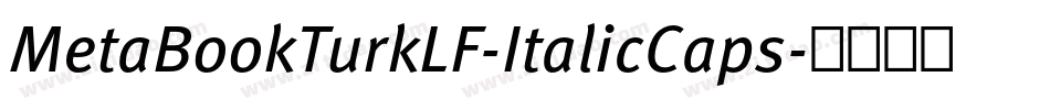 MetaBookTurkLF-ItalicCaps字体转换