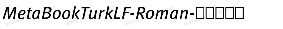 MetaBookTurkLF-Roman字体转换