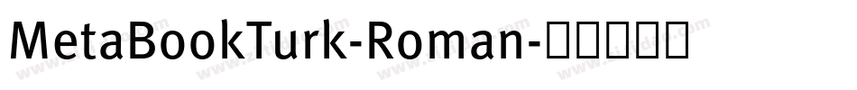 MetaBookTurk-Roman字体转换
