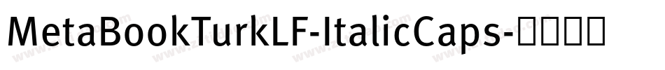 MetaBookTurkLF-ItalicCaps字体转换