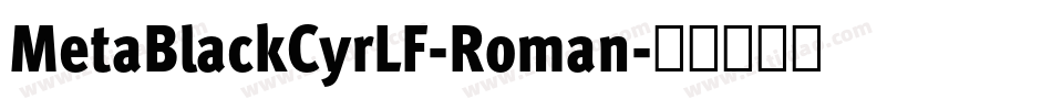 MetaBlackCyrLF-Roman字体转换