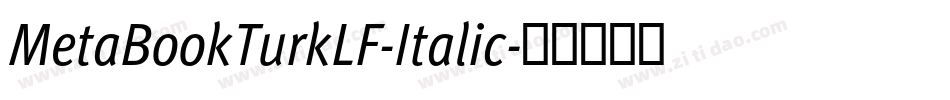 MetaBookTurkLF-Italic字体转换