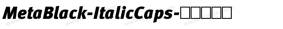 MetaBlack-ItalicCaps字体转换