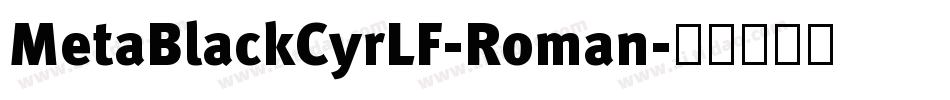 MetaBlackCyrLF-Roman字体转换