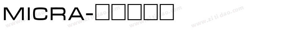 Micra字体转换