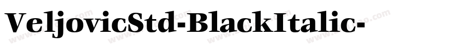 VeljovicStd-BlackItalic字体转换