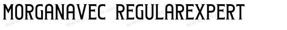 MorganAvec-RegularExpert字体转换