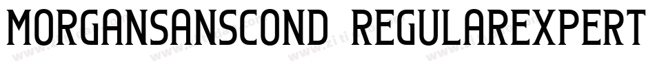 MorganSansCond-RegularExpert字体转换